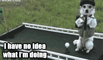 Keep trying, buddy! Dog has no idea what he is doing